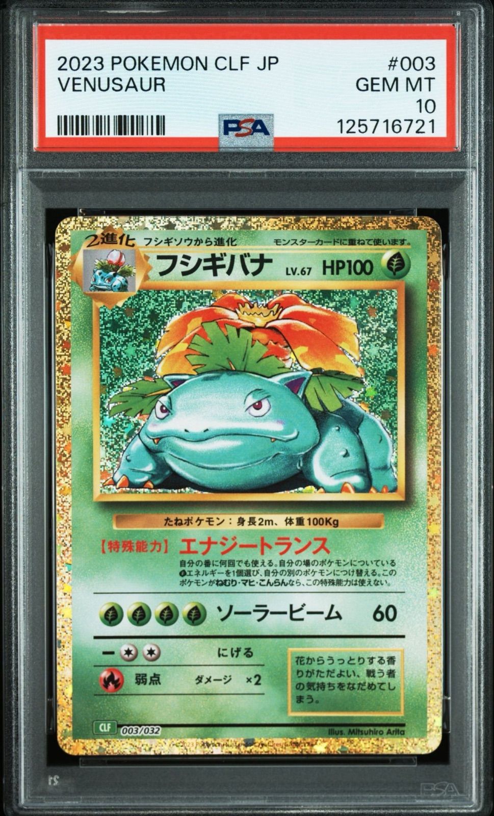 PSA10/連番】3連番 ポケモンカードゲーム フシギバナ フシギダネ