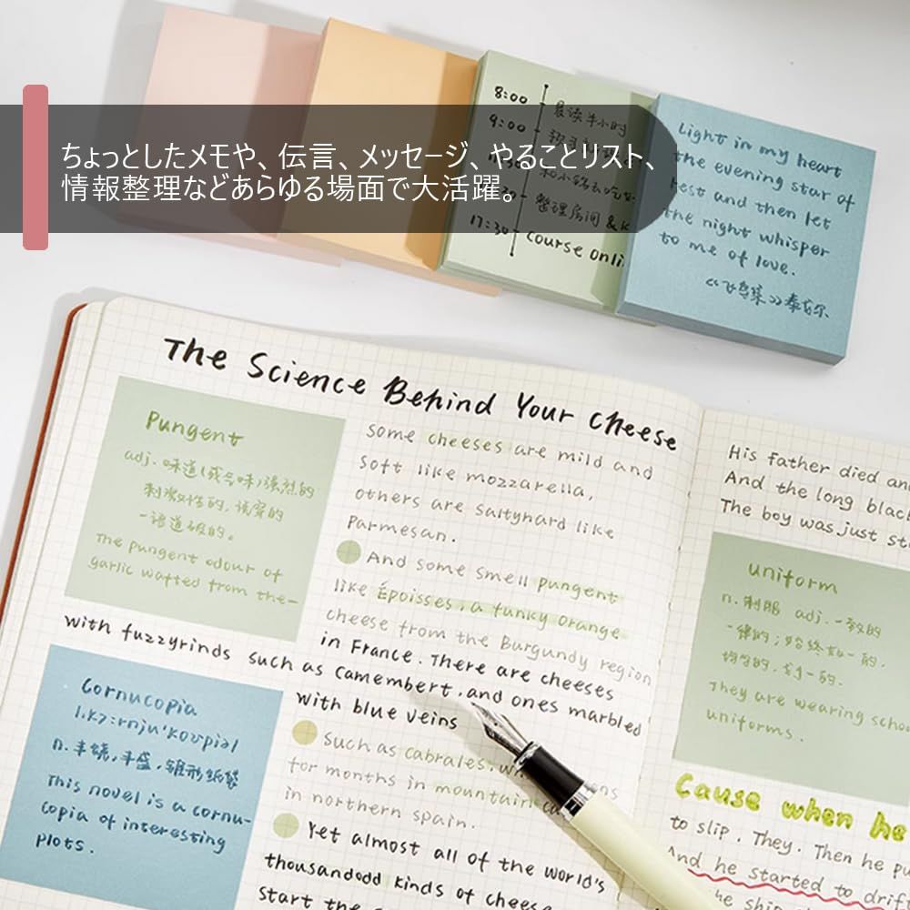 モランディ 入り