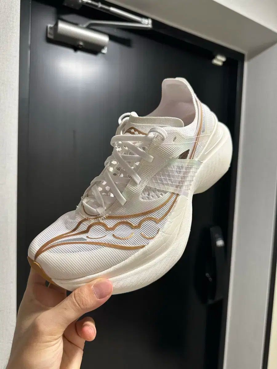 サッカニー エンドルフィン エリート 1 saucony 265 260-270