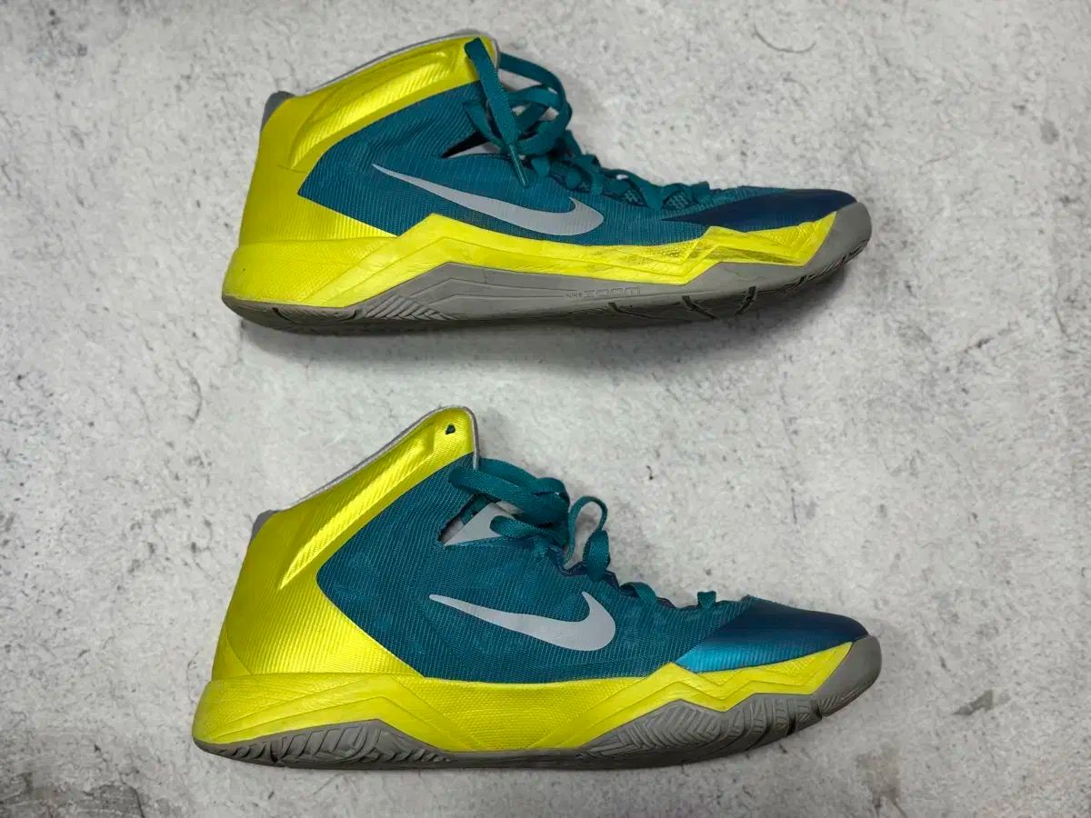 ナイキ ハイパーダンク エメラルド バスケシューズ 300 mm