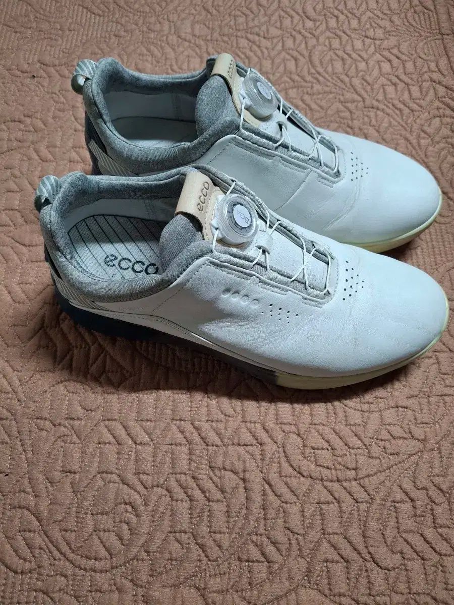 255 エコー ボア ゴルフシューズ 0332A