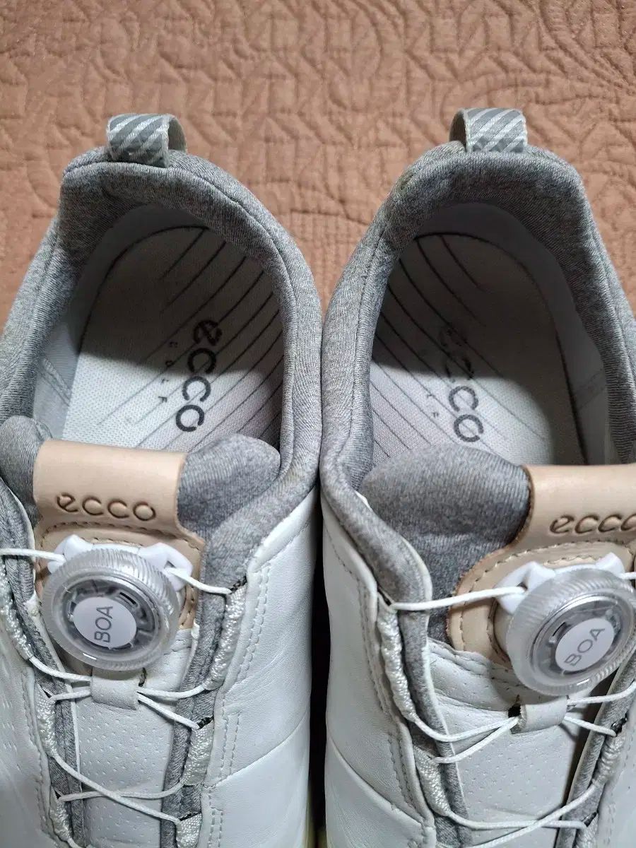 255 エコー ボア ゴルフシューズ 0332A WWW_LLC-HASEGAWATOSO_COM