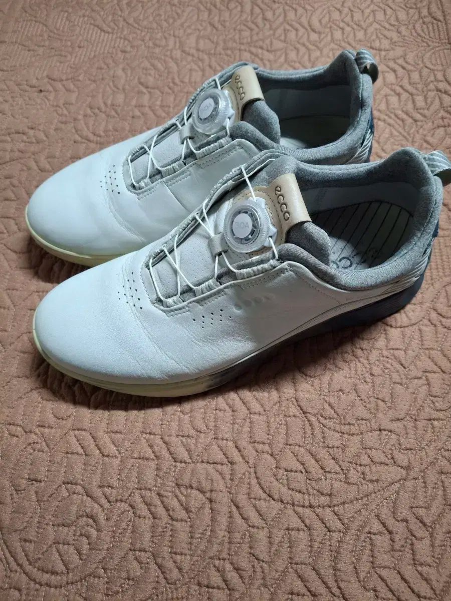 255 エコー ボア ゴルフシューズ 0332A