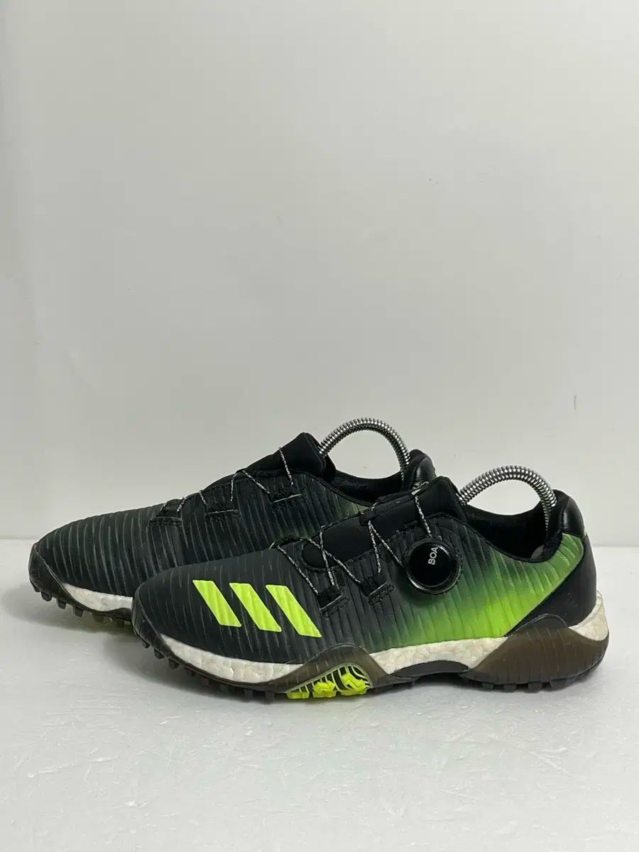 235 アディダス コードカオス ボア ゴルフシューズ ウィメンズ LLC-HASEGAWATOSO_COM