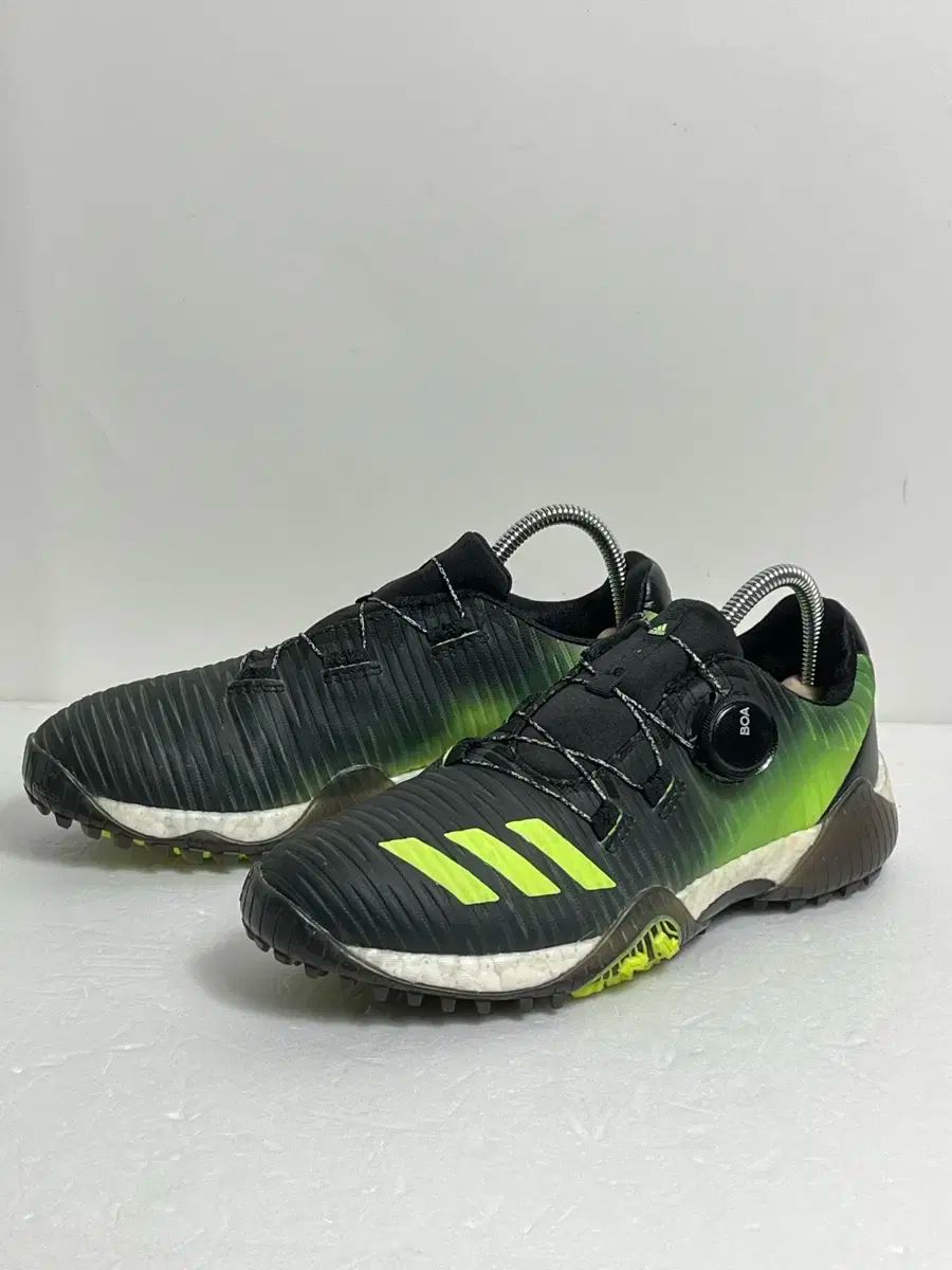 235 アディダス コードカオス ボア ゴルフシューズ ウィメンズ