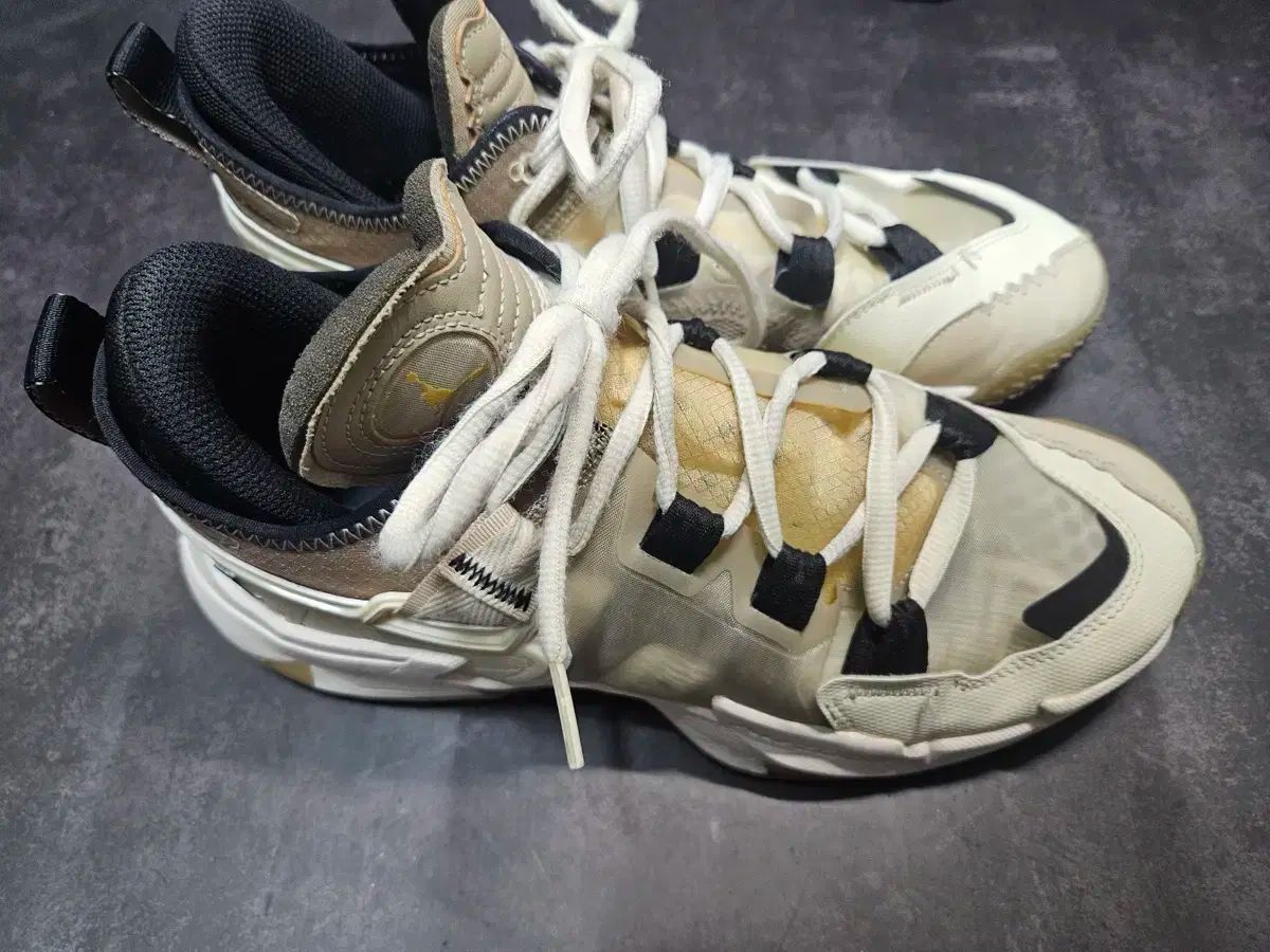ナイキ ジョーダン Why Not ココナッツミルク バスケシューズ 260