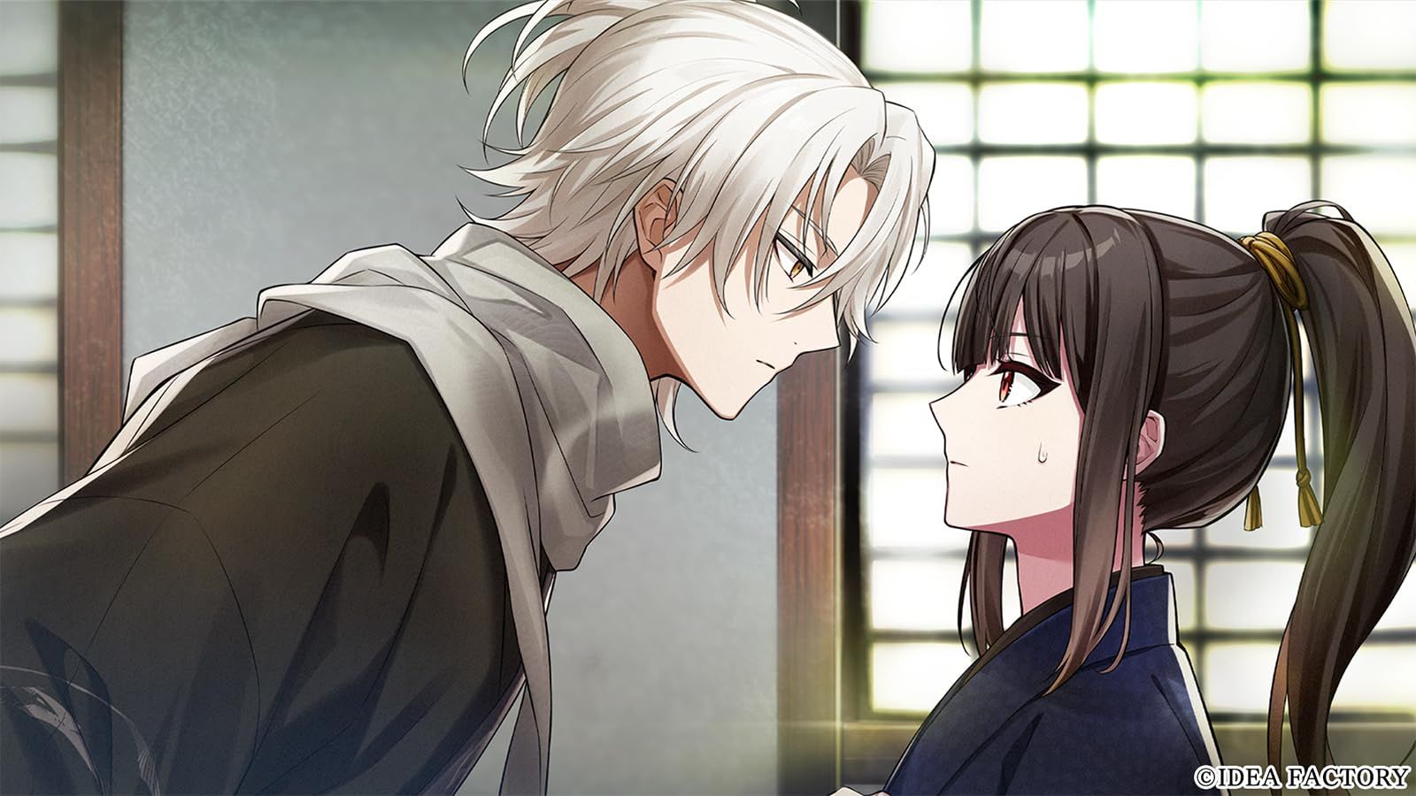  Switch BYAKKO 四神部隊炎恋記 特装版 特典なし その他 テレビゲーム