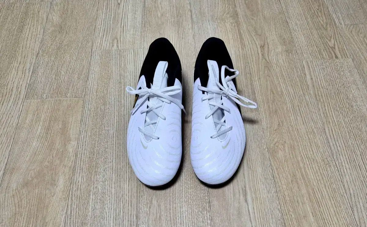 ナイキ アカデミー FANTOM GX 2 ジュニア U-12 サッカーシューズ 225