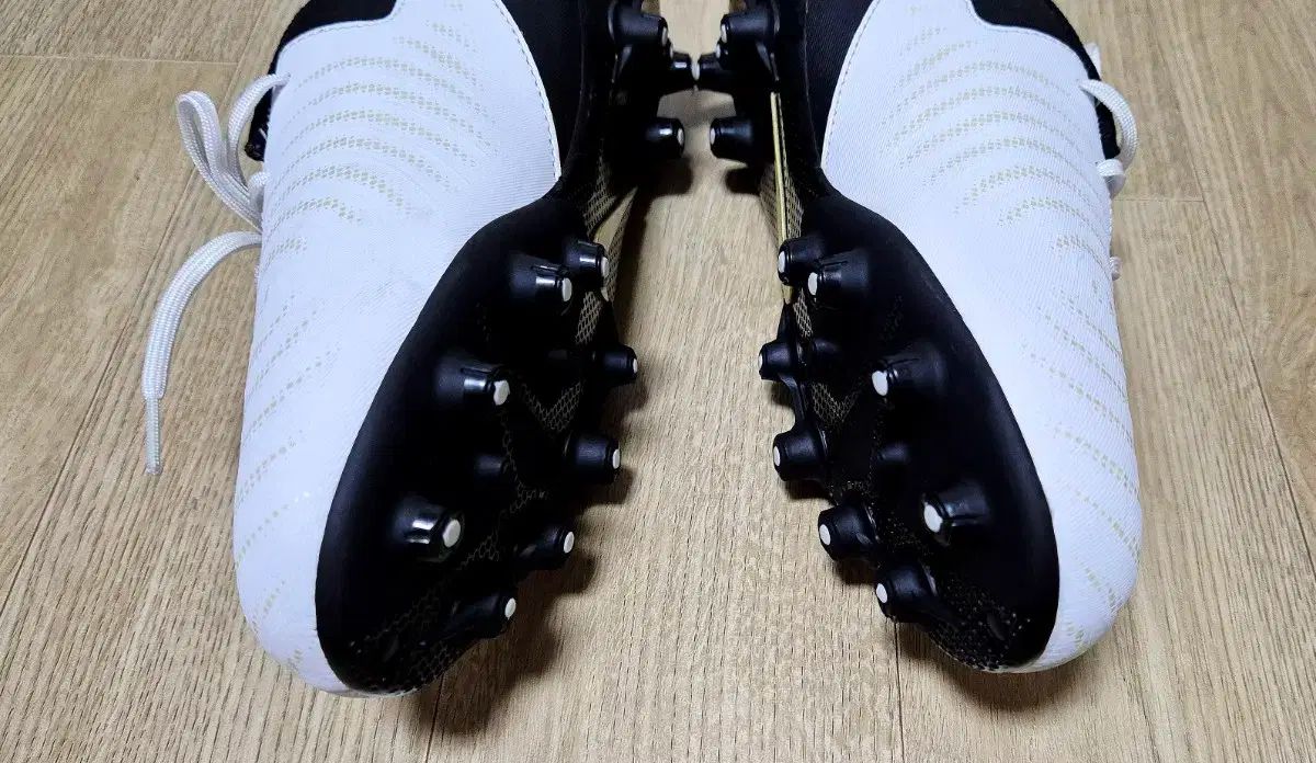 アカデミー FANTOM