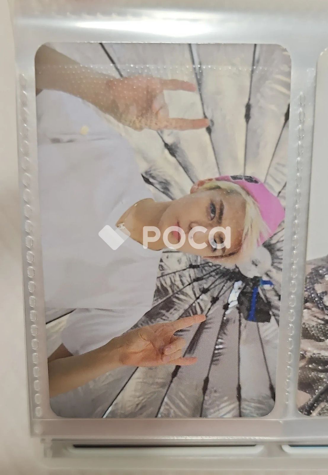 オーズ・ファクトリー・ここにこ・韓国苗・セダム！札付き・メルカリ便