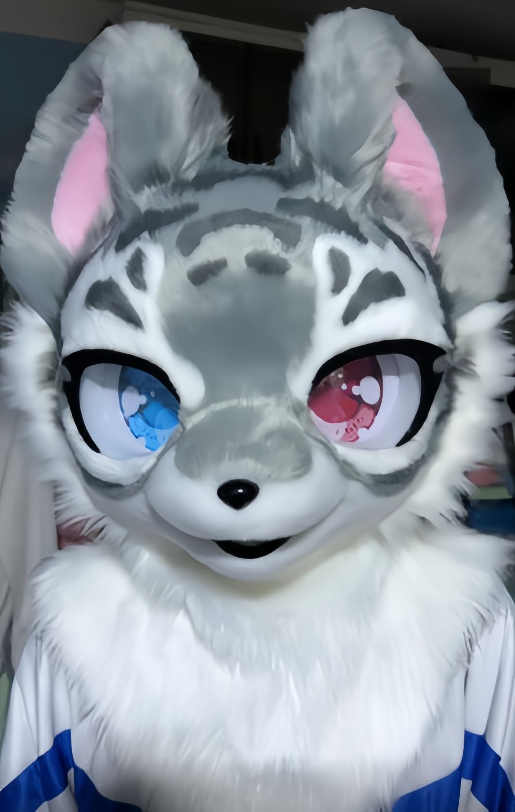 着ぐるみヘッド 虎 NO.402 グレー 灰色 全頭ヘッド ケモノ ファースーツ ぬいぐるみ コスプレ コスチューム kigurumi