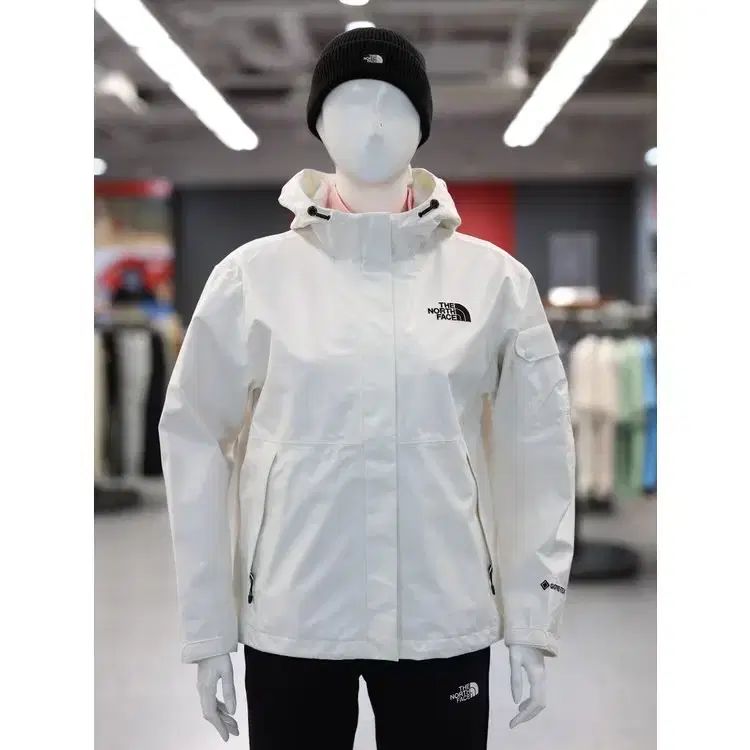 レディース THE NORTH FACE ゴアテックス エコー ハイク ジャケット アウター