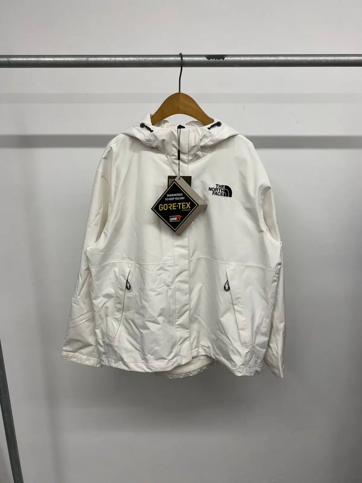 レディース THE NORTH FACE ゴアテックス エコー ハイク ジャケット アウター