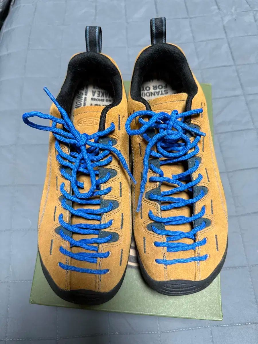 キーン ジャスパー スニーカー キャメル 270