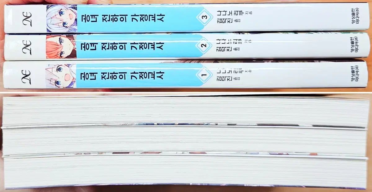 公女殿下の家庭教師 1 3 なななな リー ラノベ イラスト カード