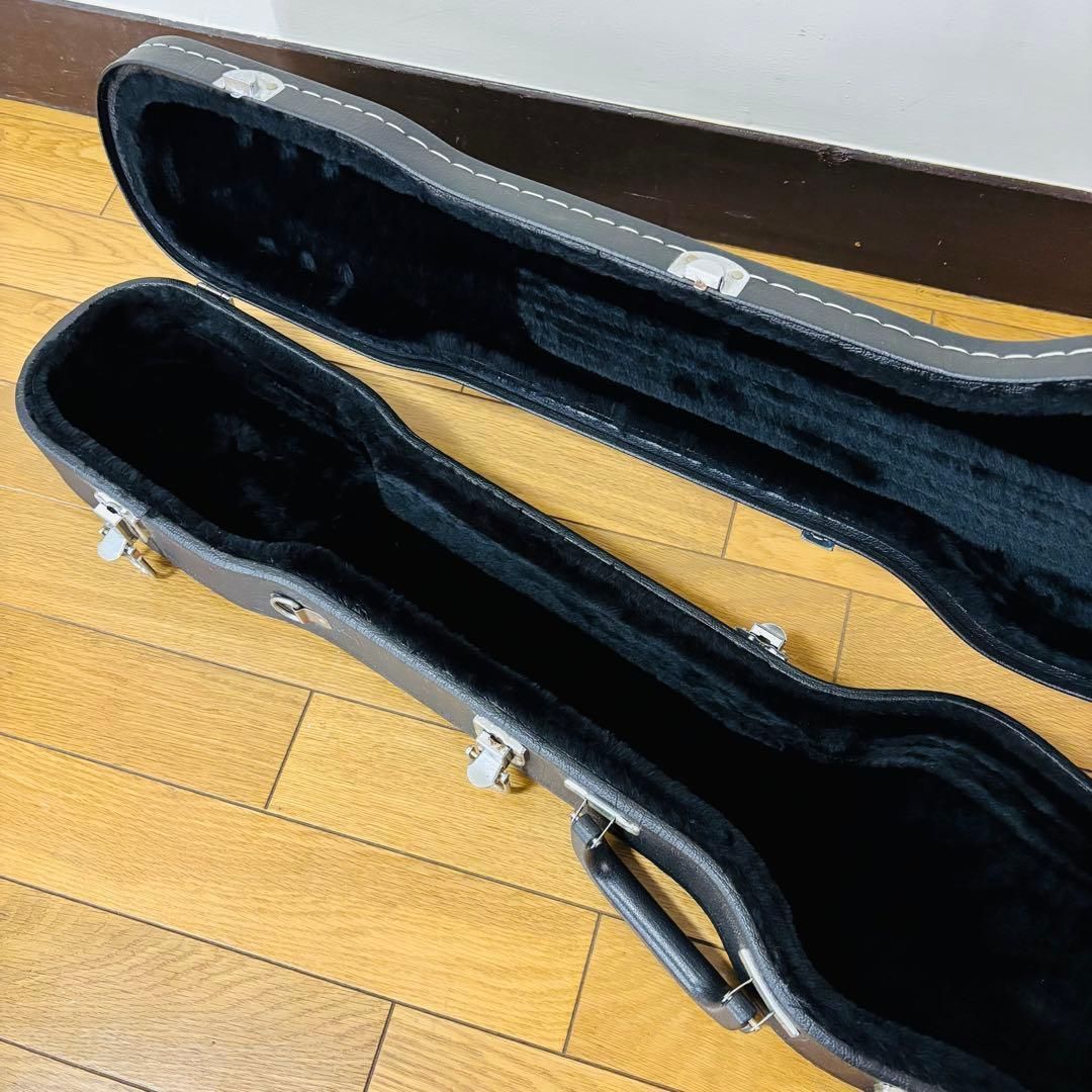 品 SX スチールギター 6弦用 ハードケース み WWW_TRAVELLANDINDIA_COM