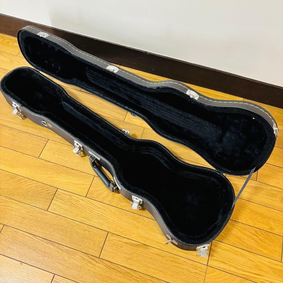 品 SX スチールギター 6弦用 ハードケース み