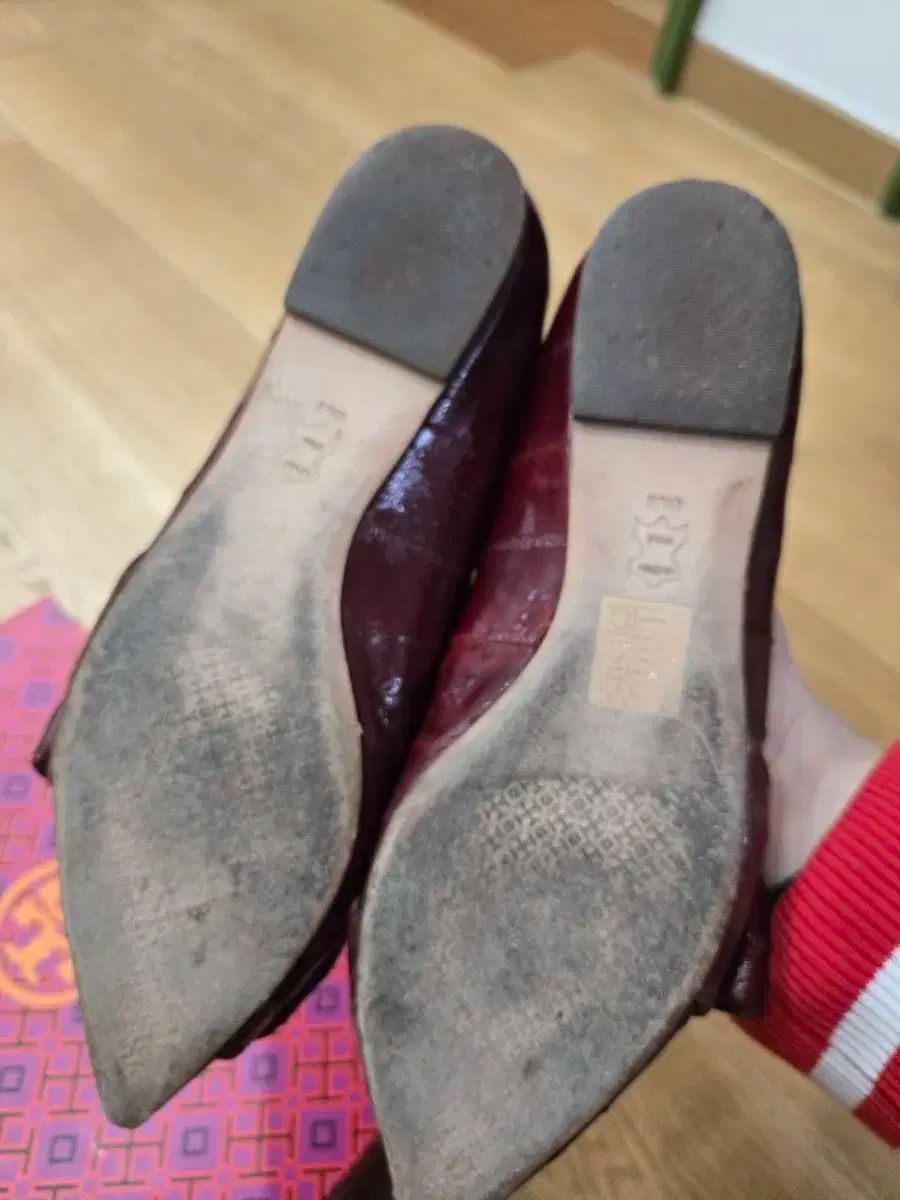 トリーバーチ ワイン色