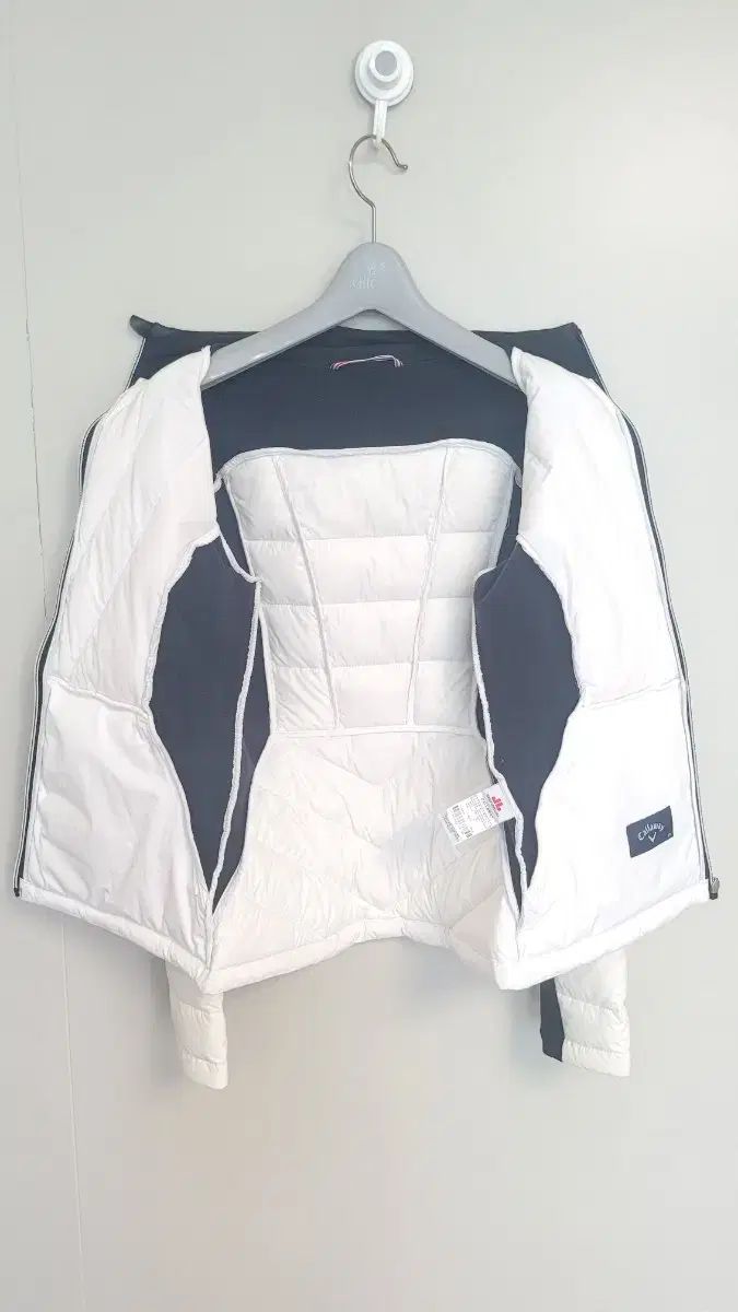 レディース ゴルフ