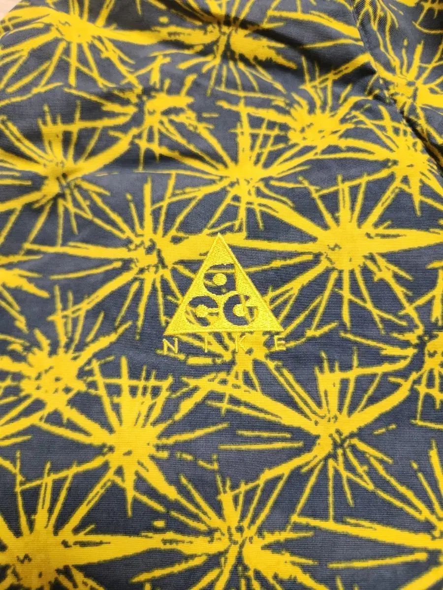 ACG アノラック フリース プルオーバー ネイビー イエロー