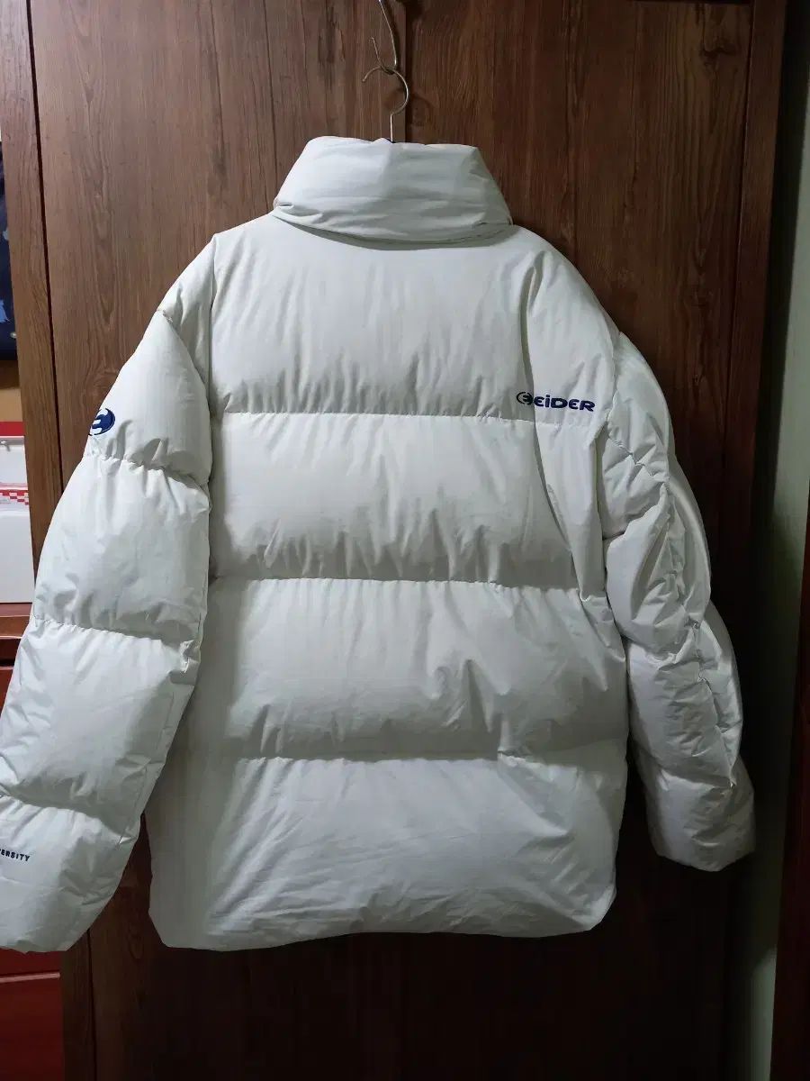 アイダー ダウンジャケット アウター