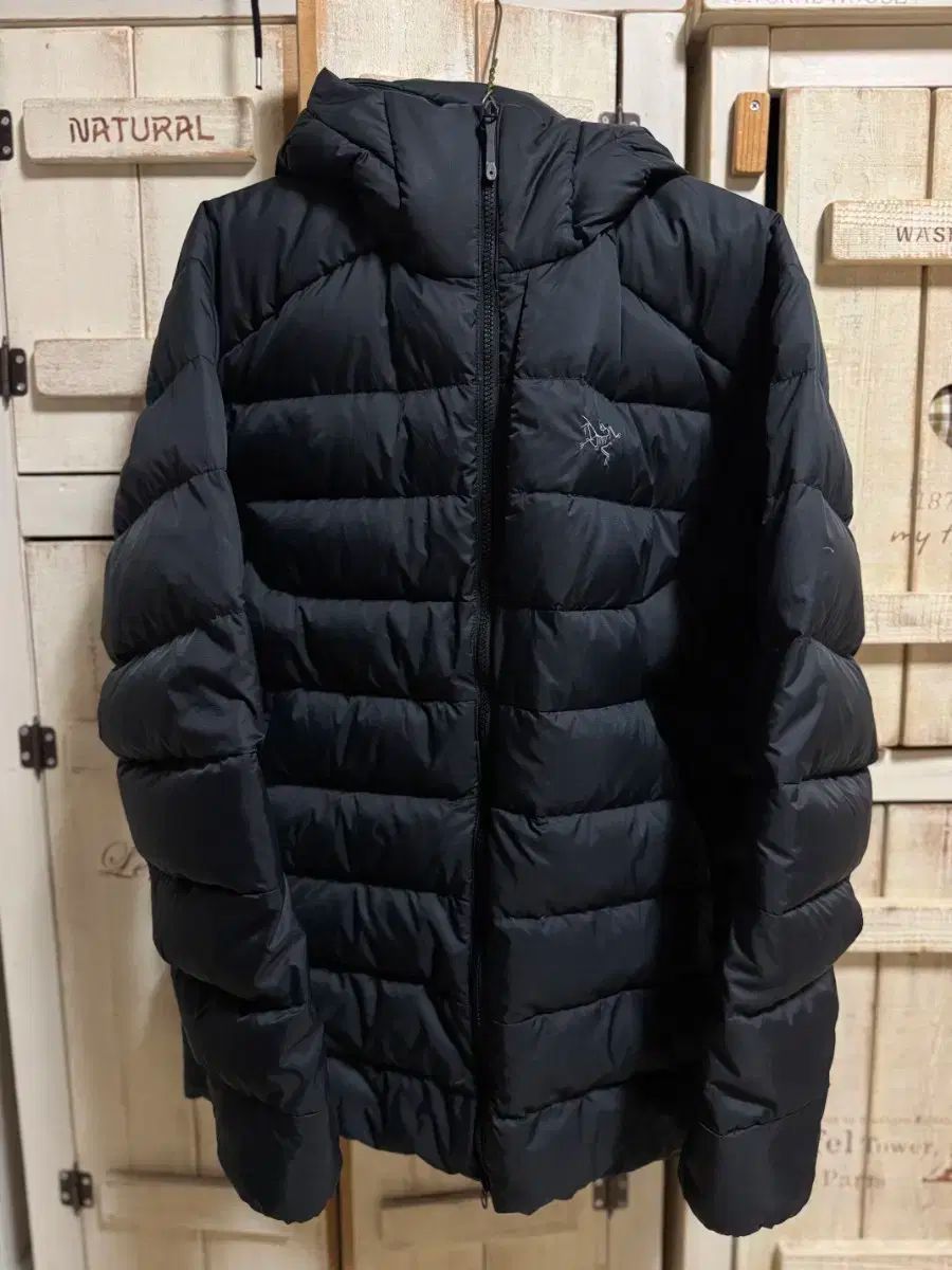 ARC TERYX アークテリクス トーラム L