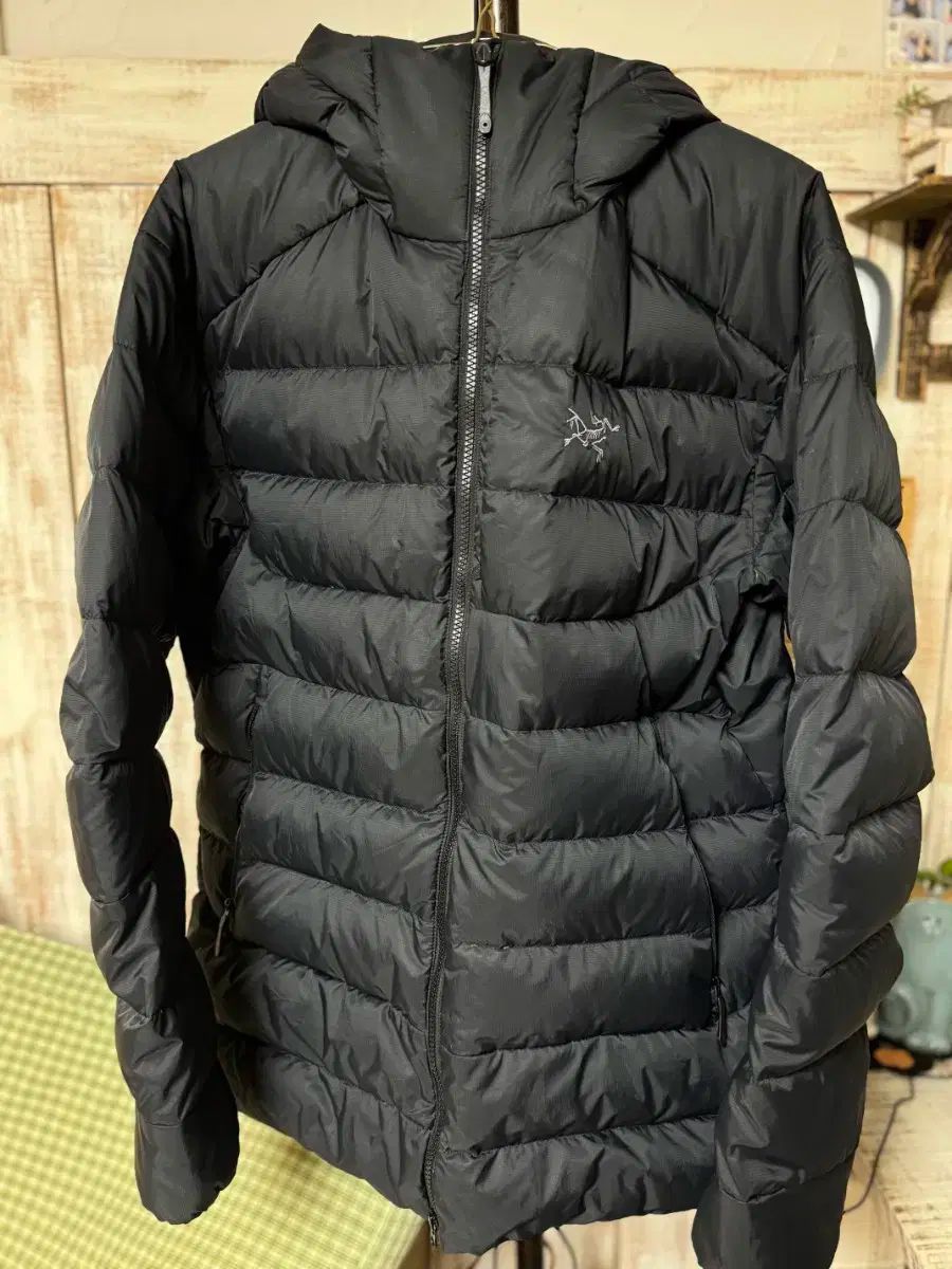 ARC TERYX アークテリクス トーラム L