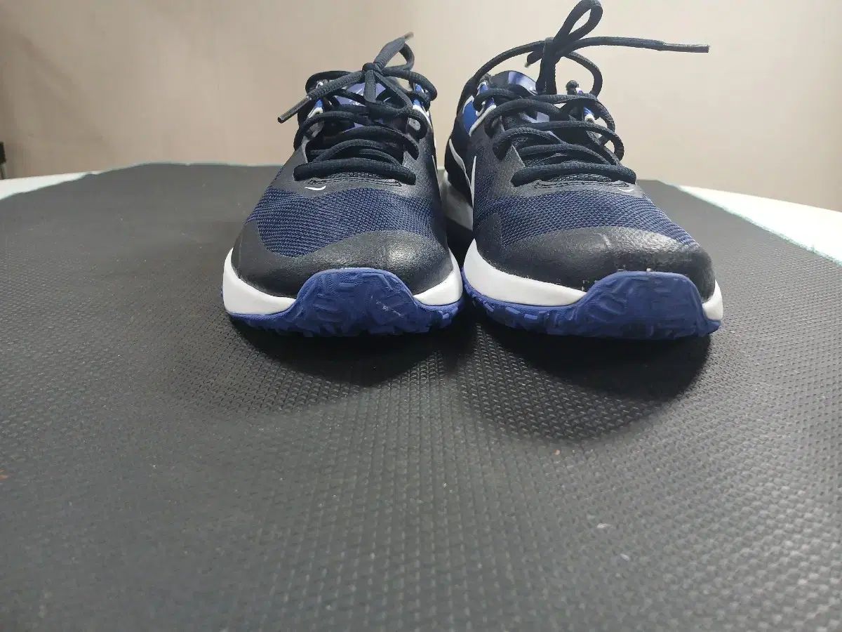 ナイキ トレーナー