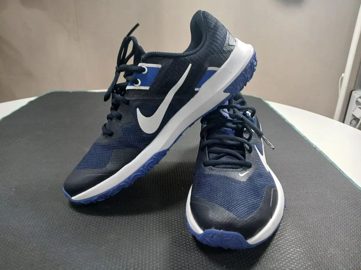 ナイキ トレーナー 超軽量 スニーカー 265