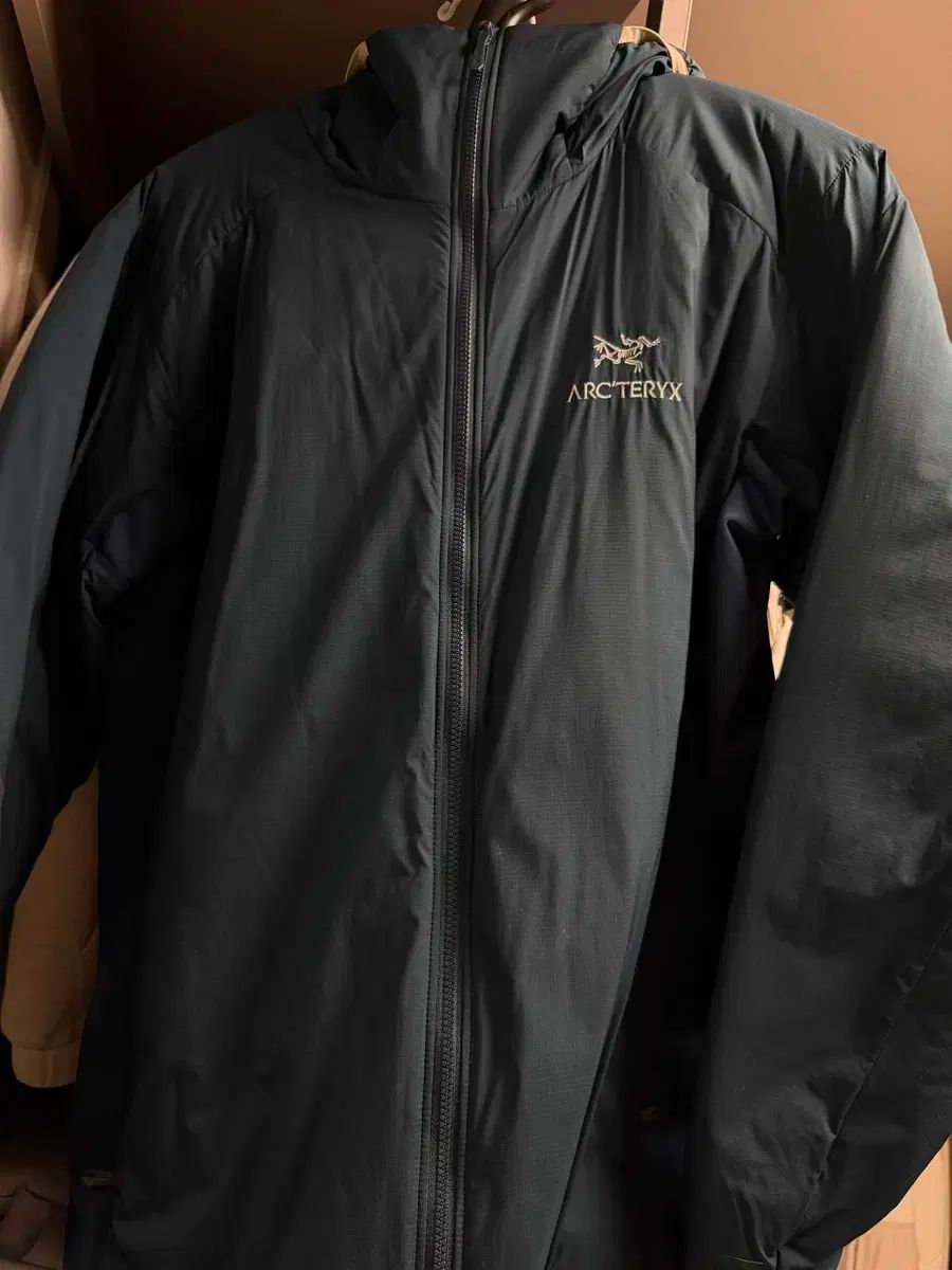 ARC TERYX アトム lt レディース L