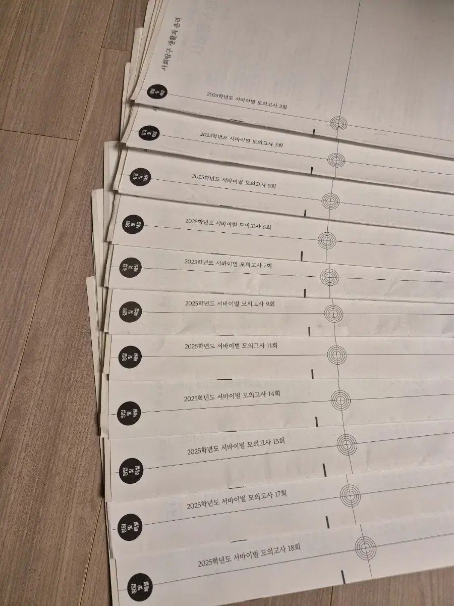 2025 生活と倫理 模擬試験 時代人材 はとこ サバイバル 実戦模擬試験 11回分