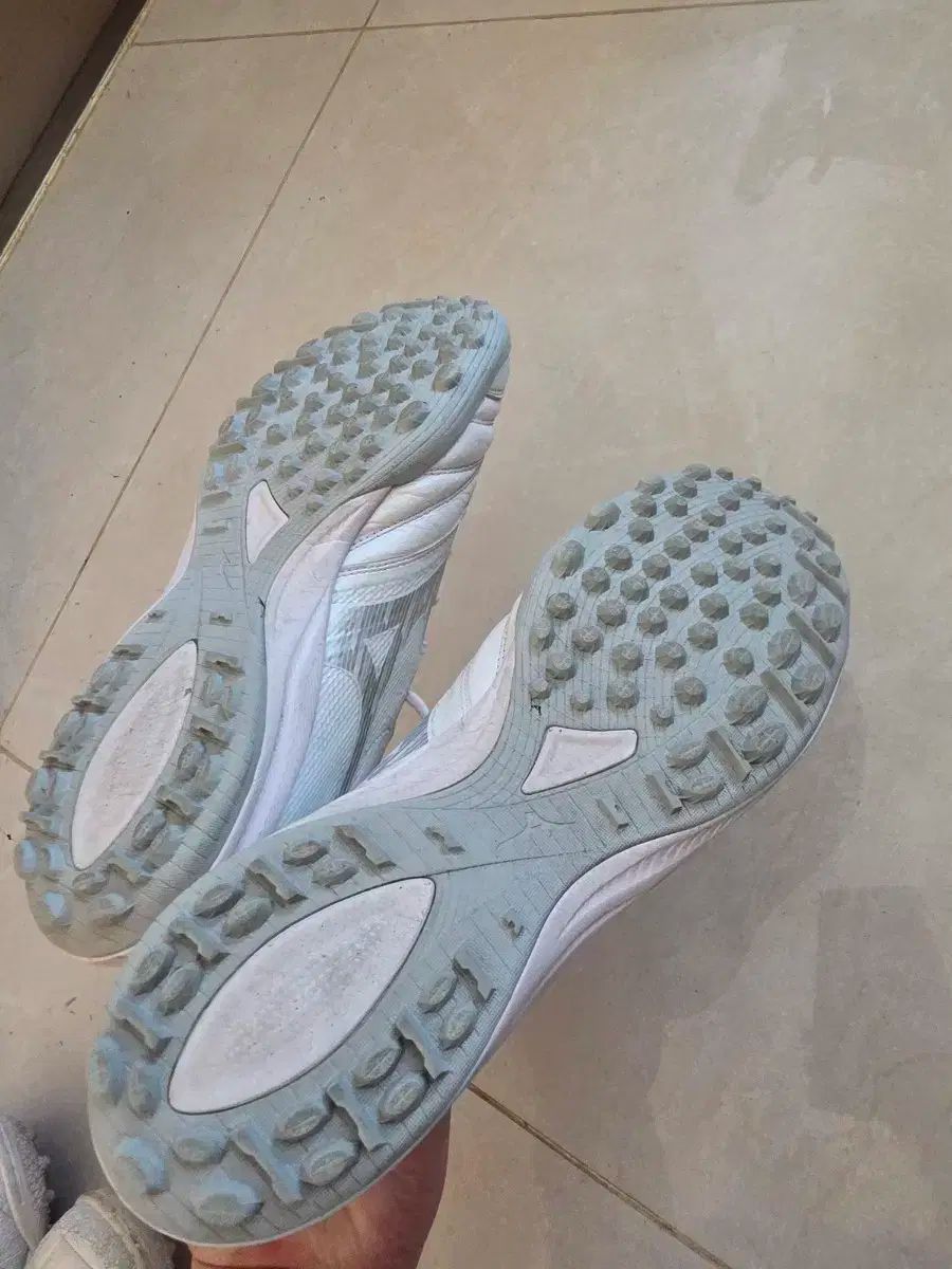 ミズノ モレリア NEO サラ ベータ tf 260 サッカーシューズ LLC-HASEGAWATOSO_COM