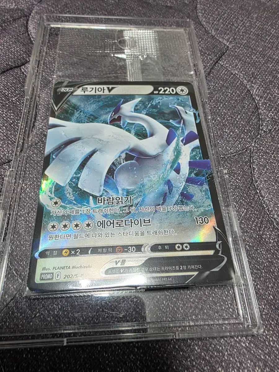 ポケモンカード ミスター タイガース ボックス ルー プロモ