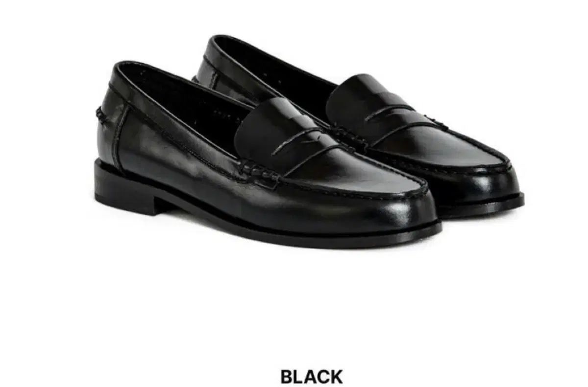 ヌート x ソジャン コラボ ペニー ローファー 240