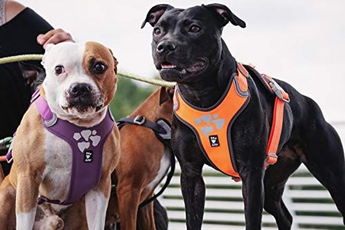 フルッタ Hurtta ウォーリアハーネス エコ レッド 40-45cm