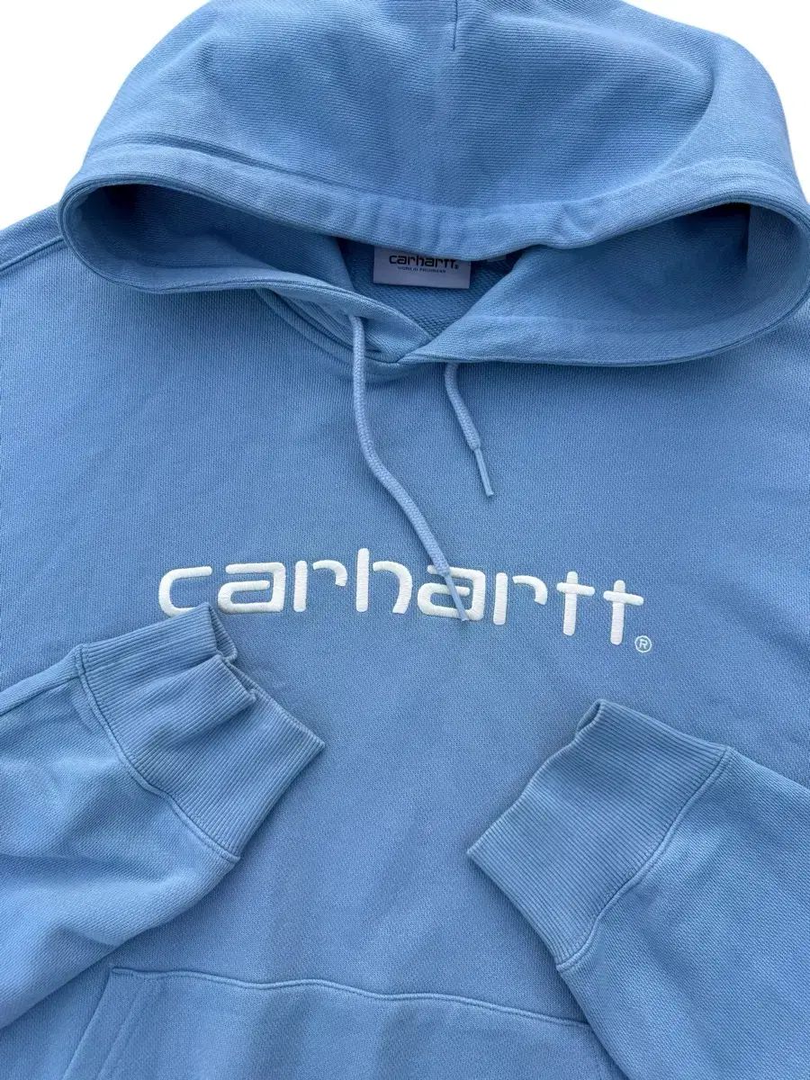 Carhartt カーハート ＷＩＰ ブルーバード フーディー Tシャツ