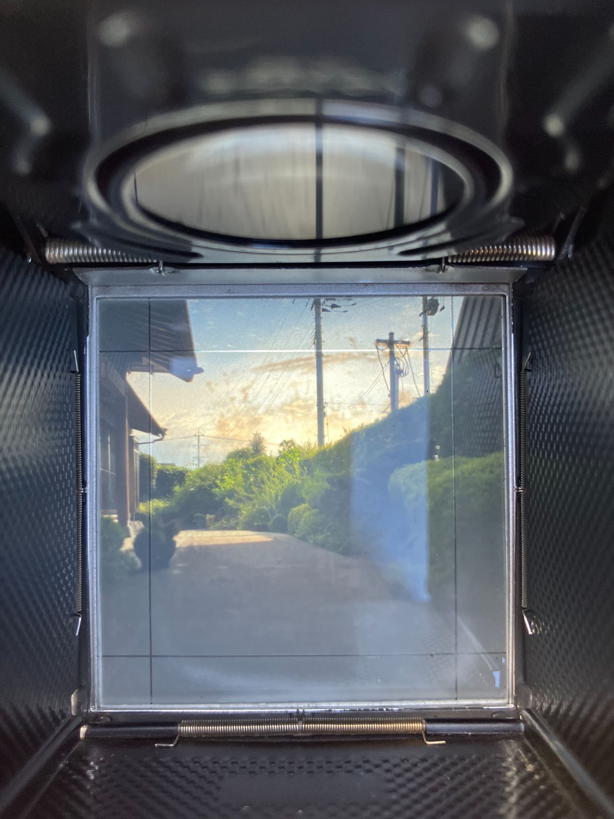 ゼンザブロニカ