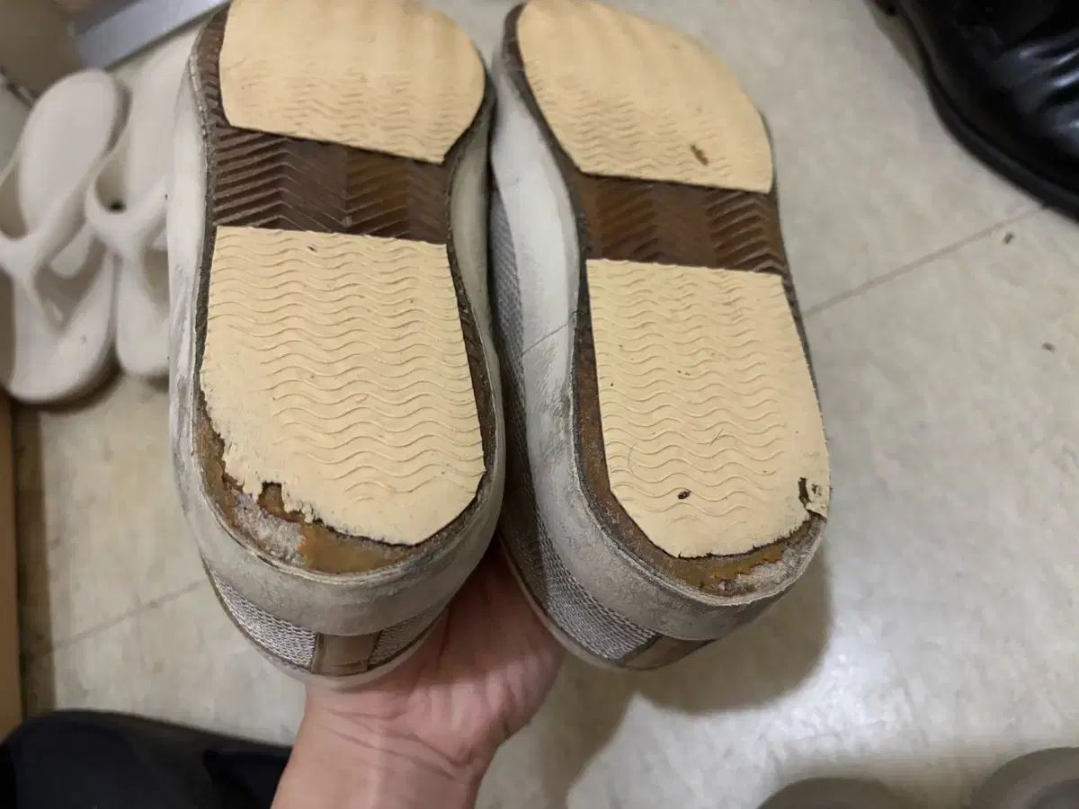 ゴールデングース