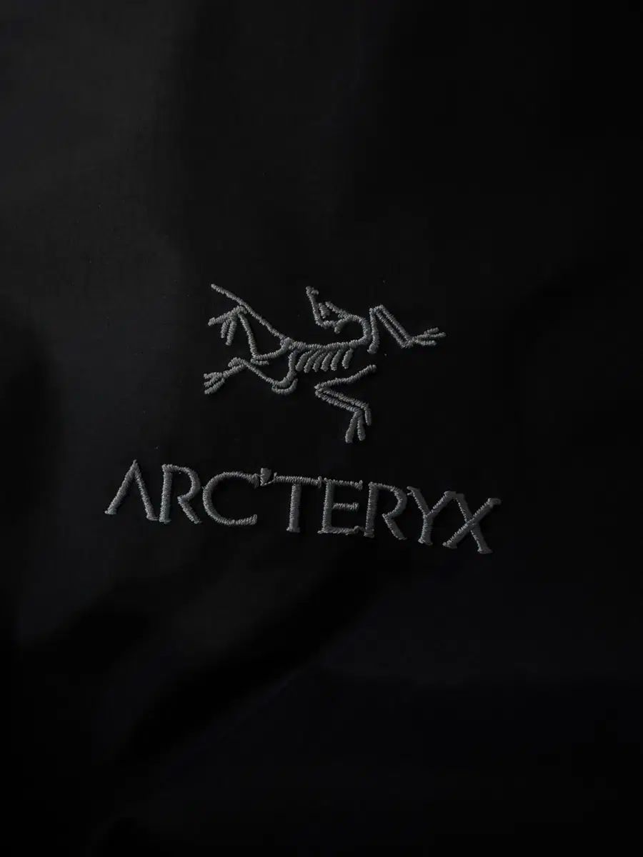 ARC TERYX アークテリクス ZETA SL Lサイズ ウィンドブレーカー