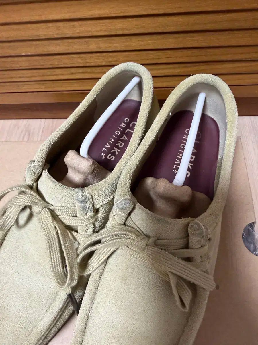 ワラビー メイプル