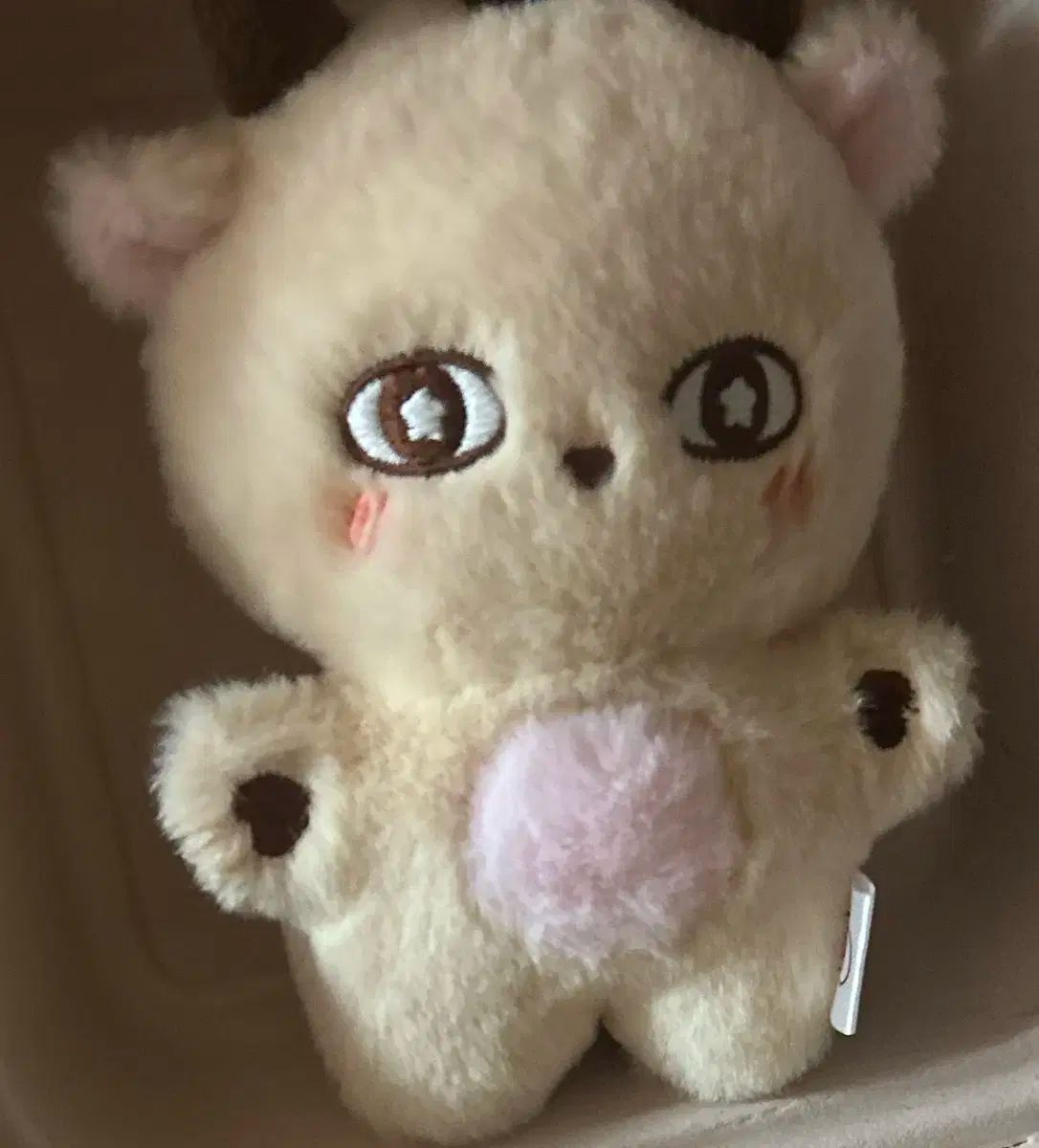 パク ジフン PARK JIHOON ぬいぐるみ トレカ 付き フォトカード 付き