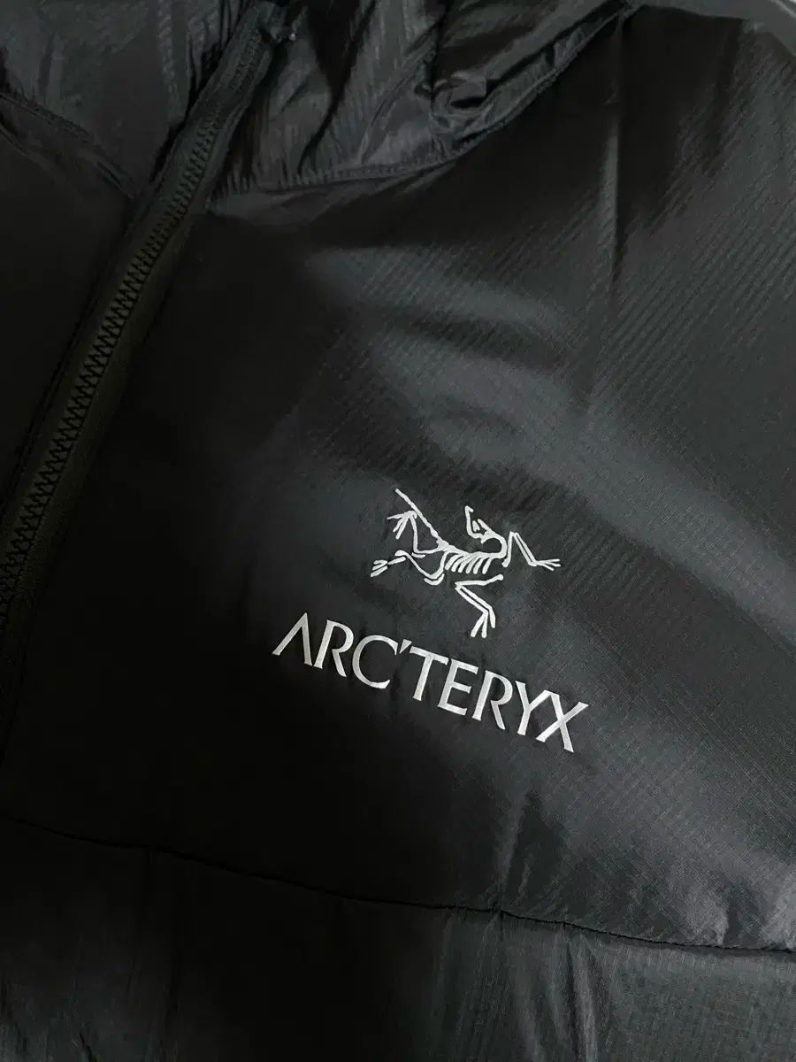 アークテリクス ARC TERYX ヌックリアイ NUCLEI AI FL ブラック BLACK ラージ large