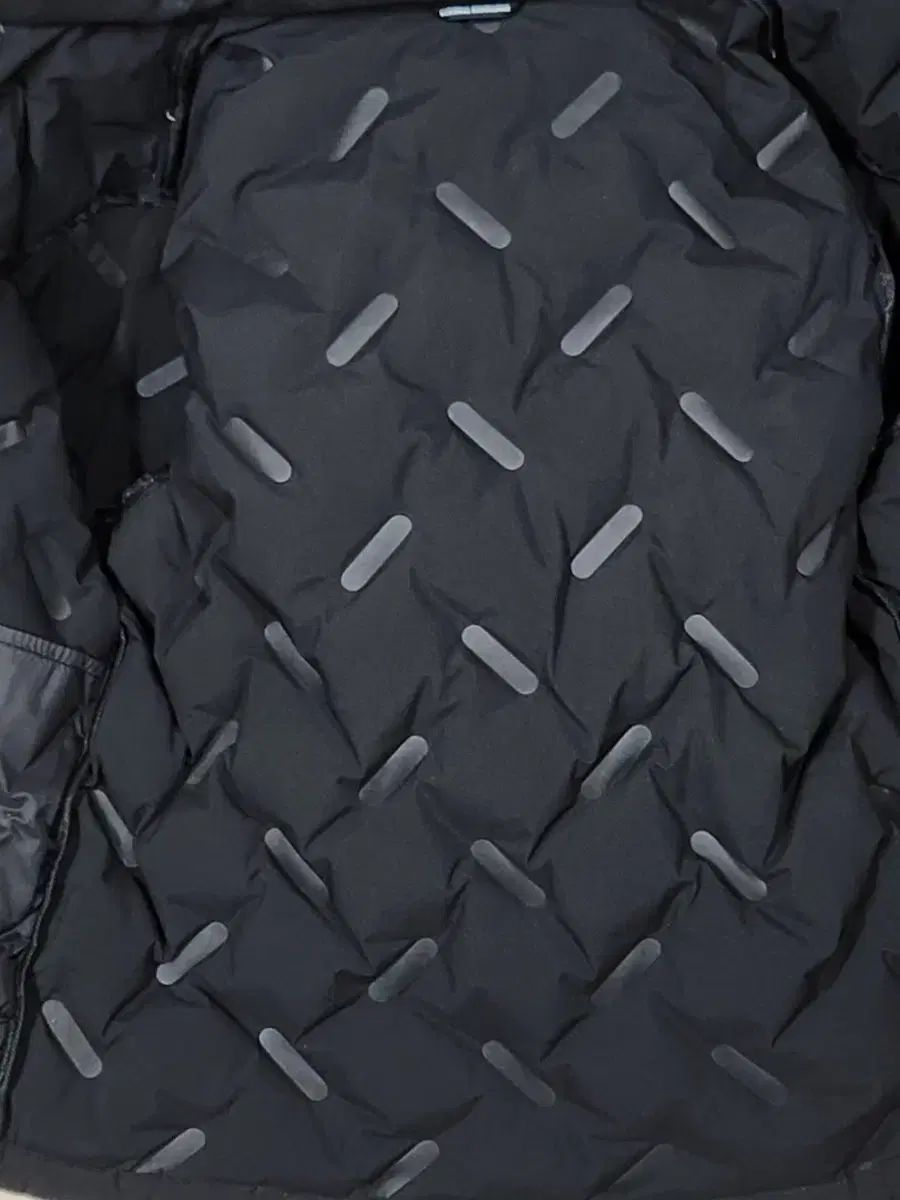 ナショナルジオグラフィック キッズ