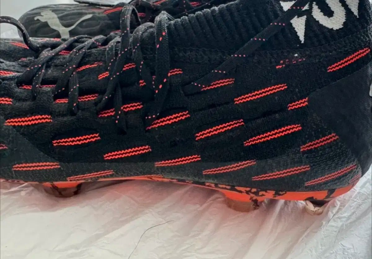 1 ネットフィット