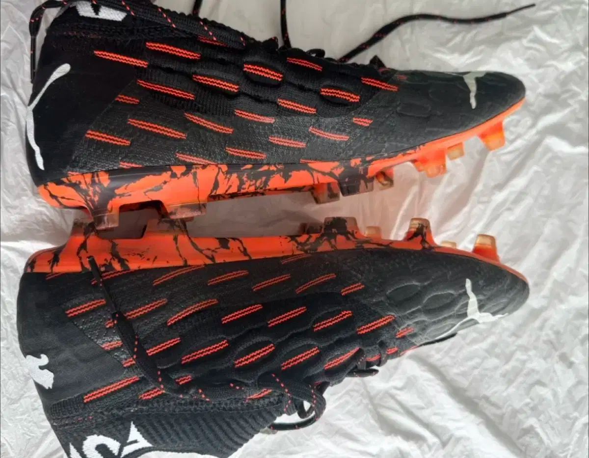 ネットフィット FG