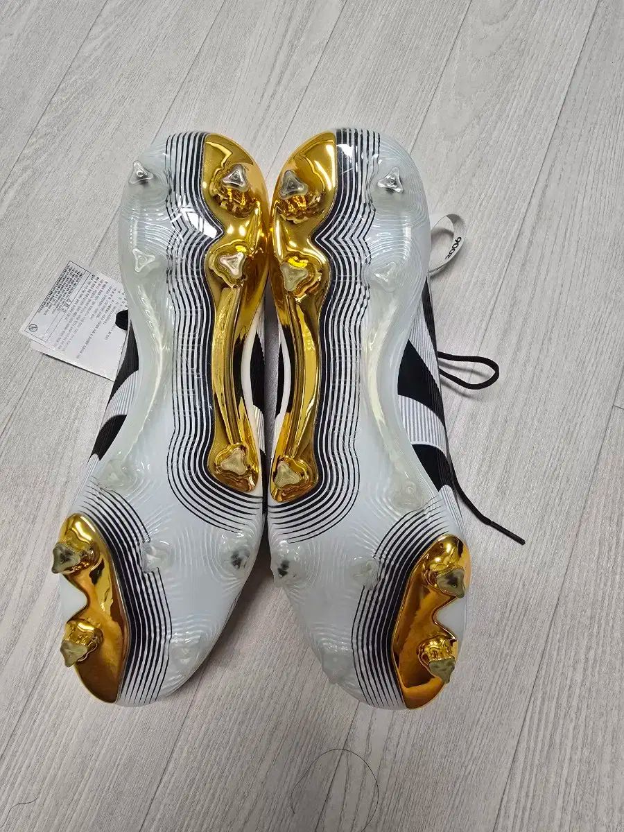 チームガイスト