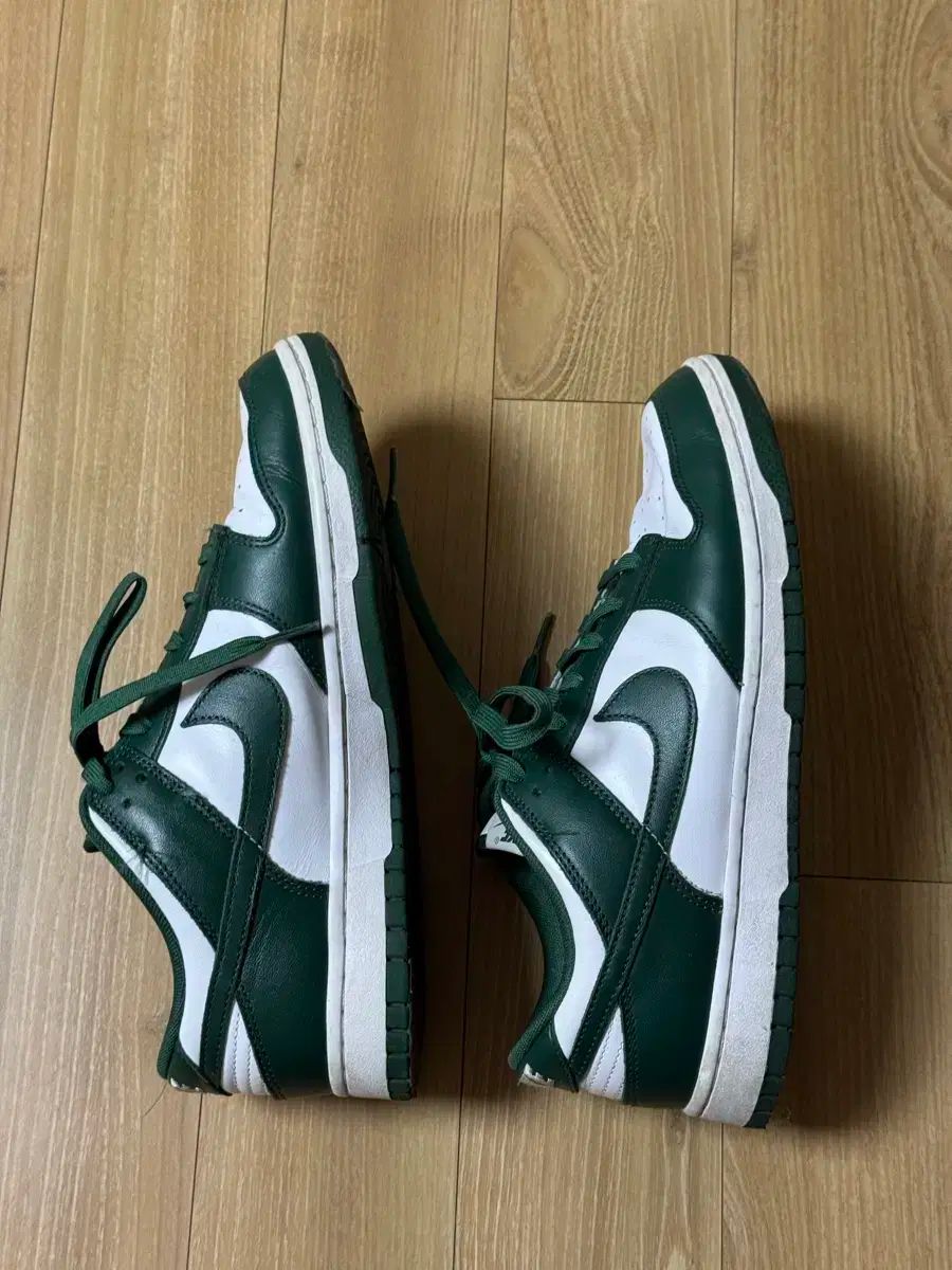ナイキ ダンク ロー レトロ バーシティ グリーン 270