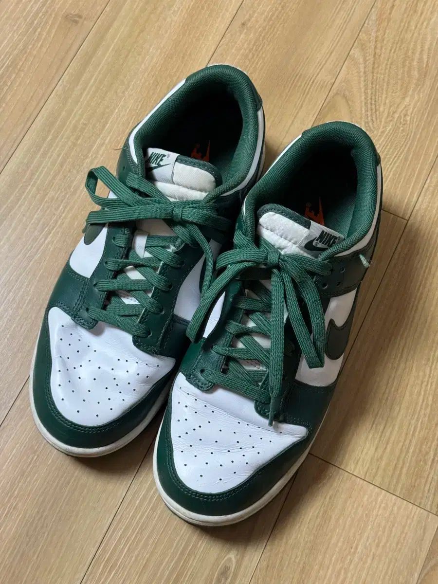 ナイキ ダンク ロー レトロ バーシティ グリーン 270