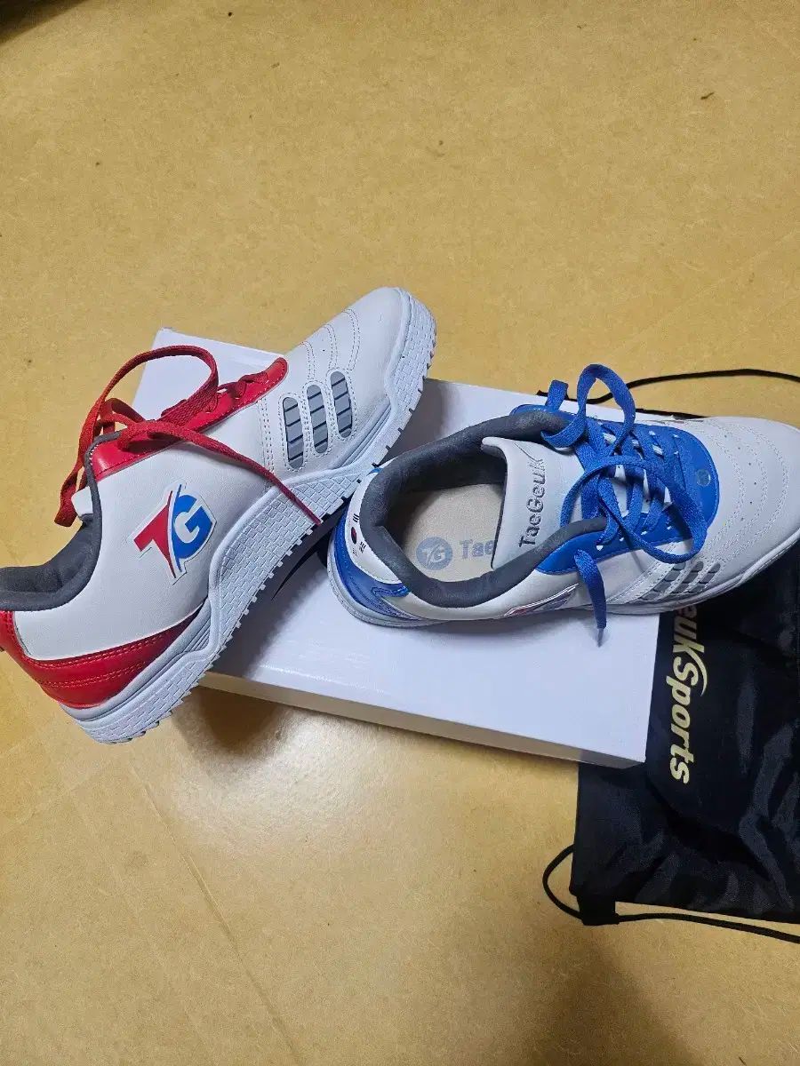 太 マニア サッカーシューズ 265