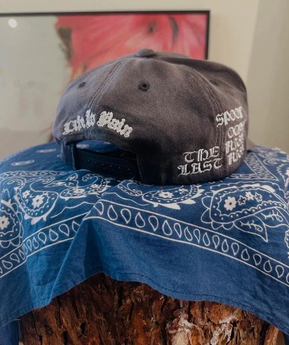 DONUT REVENGE D CAP 帽子